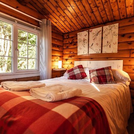 Welsh Retreat 2 Bedroom Log Cabin - Seren Property Trawsfynydd Extérieur photo
