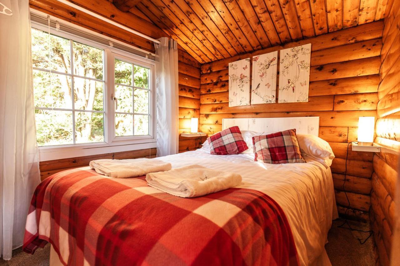 Welsh Retreat 2 Bedroom Log Cabin - Seren Property Trawsfynydd Extérieur photo