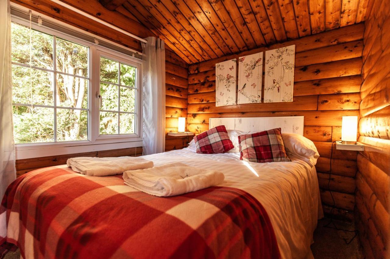 Welsh Retreat 2 Bedroom Log Cabin - Seren Property Trawsfynydd Extérieur photo