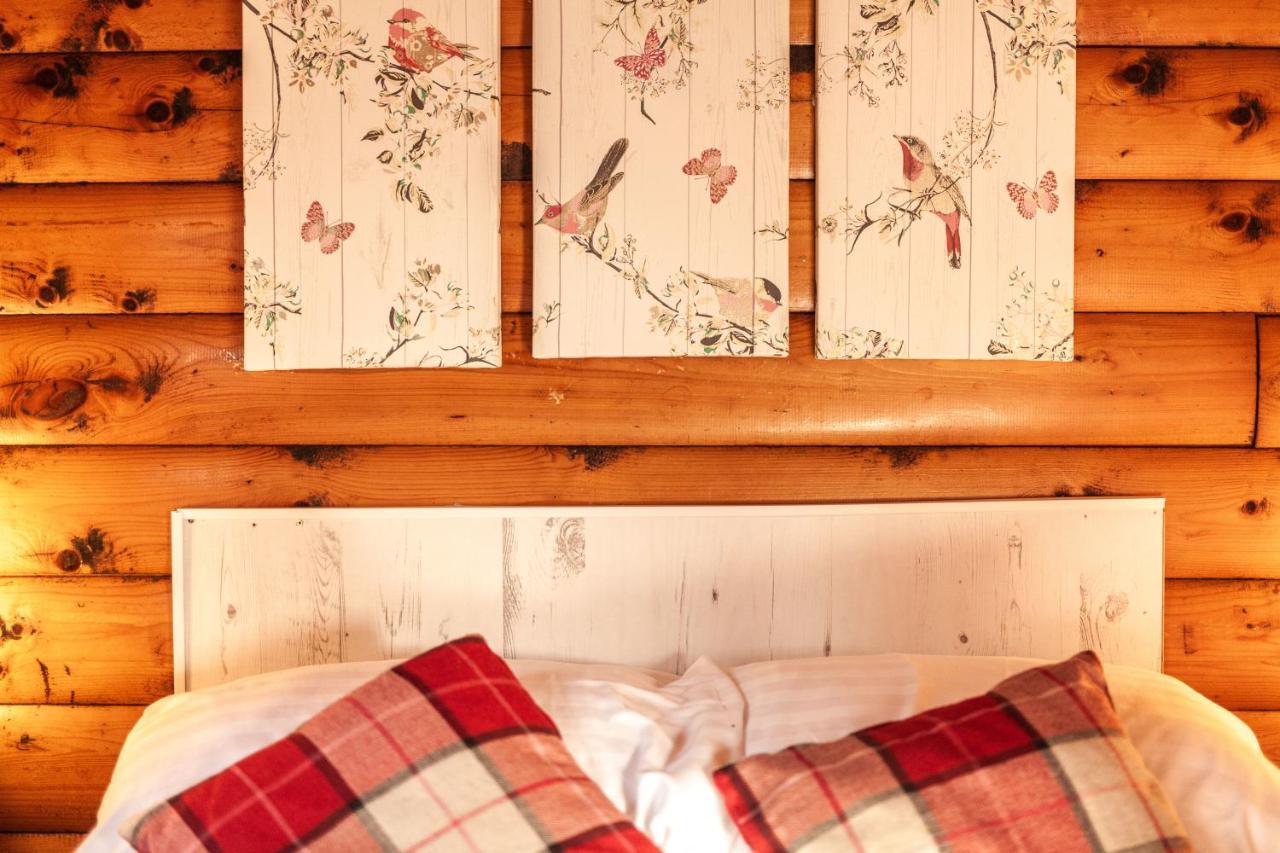 Welsh Retreat 2 Bedroom Log Cabin - Seren Property Trawsfynydd Extérieur photo