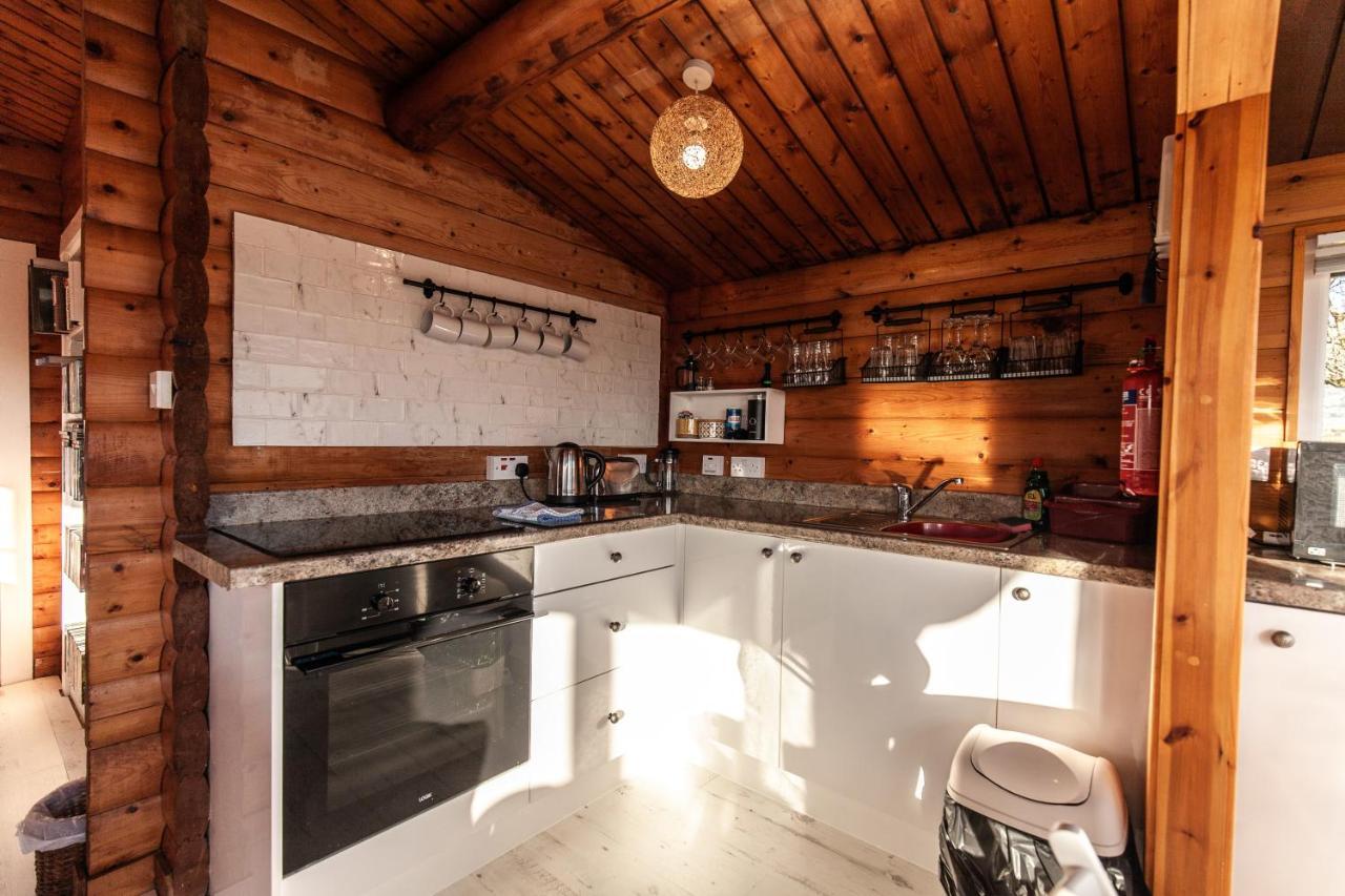 Welsh Retreat 2 Bedroom Log Cabin - Seren Property Trawsfynydd Extérieur photo